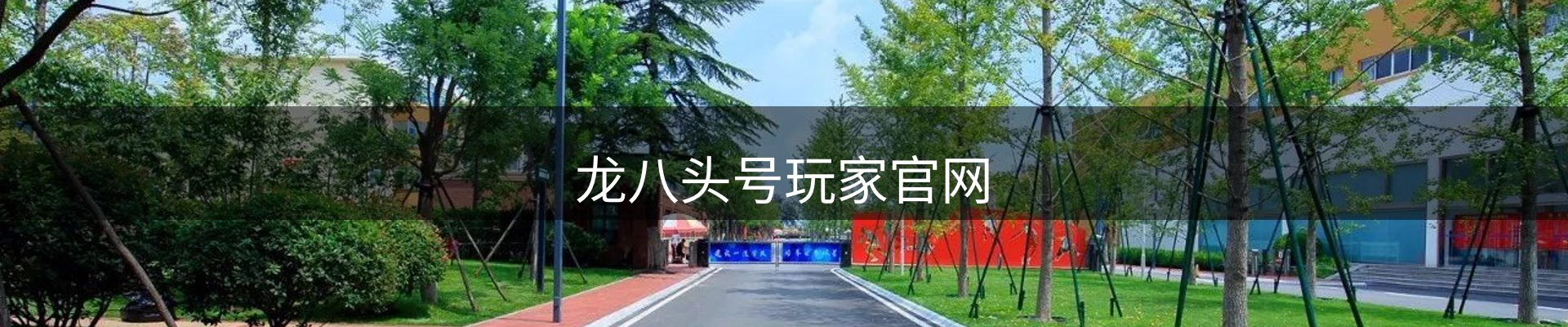 龙八头号玩家官网